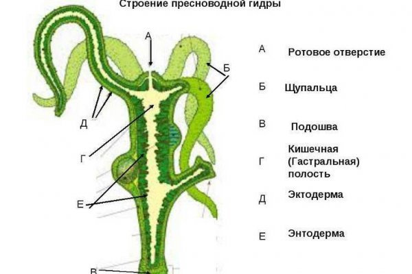 Кракен торговая площадка