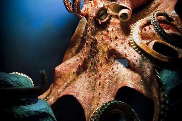 Kraken clear ссылка