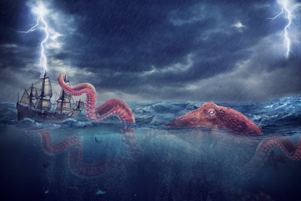 Kraken onion link